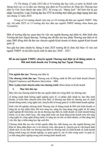 Báo cáo nguồn nhân lực thương mại điện tử VECOM